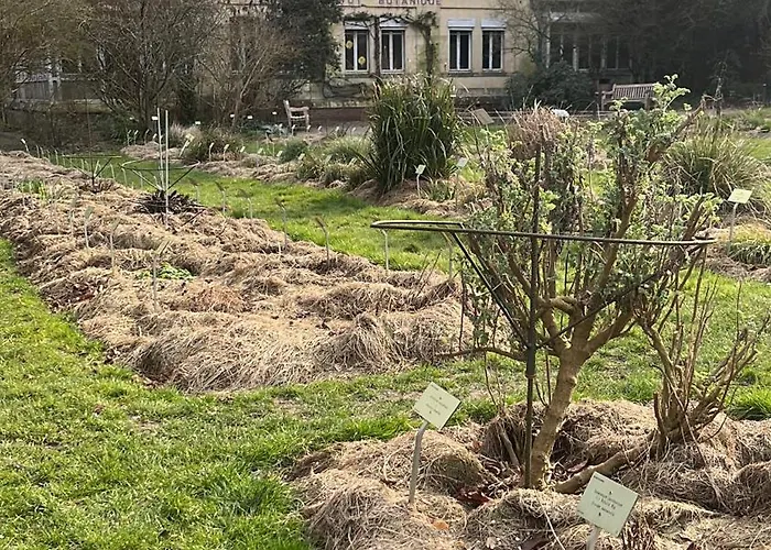 Apartment Abbaye Aux Hommes, Un Cocon Pour 2,3 Ou 4!